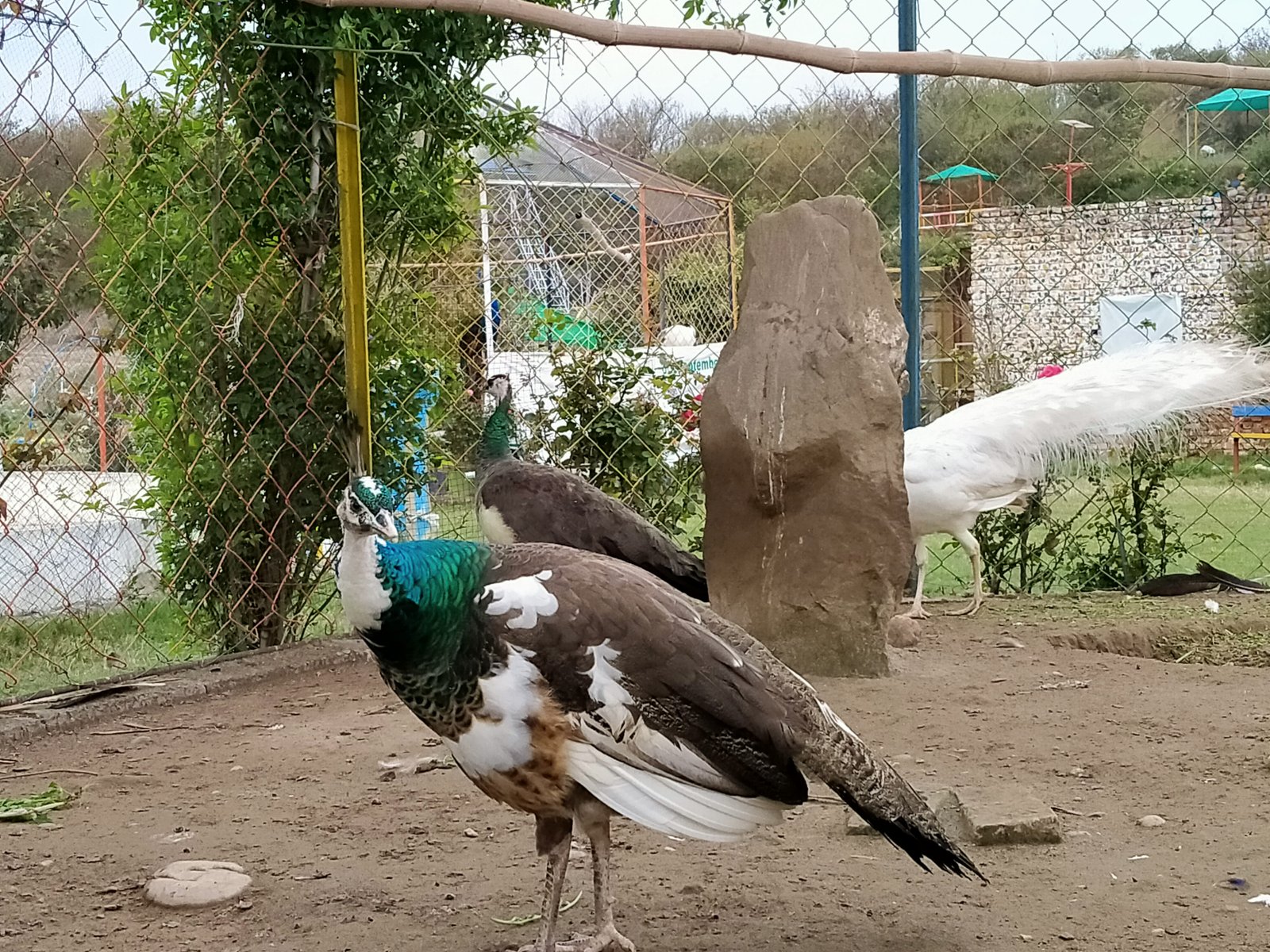 Travel Photo